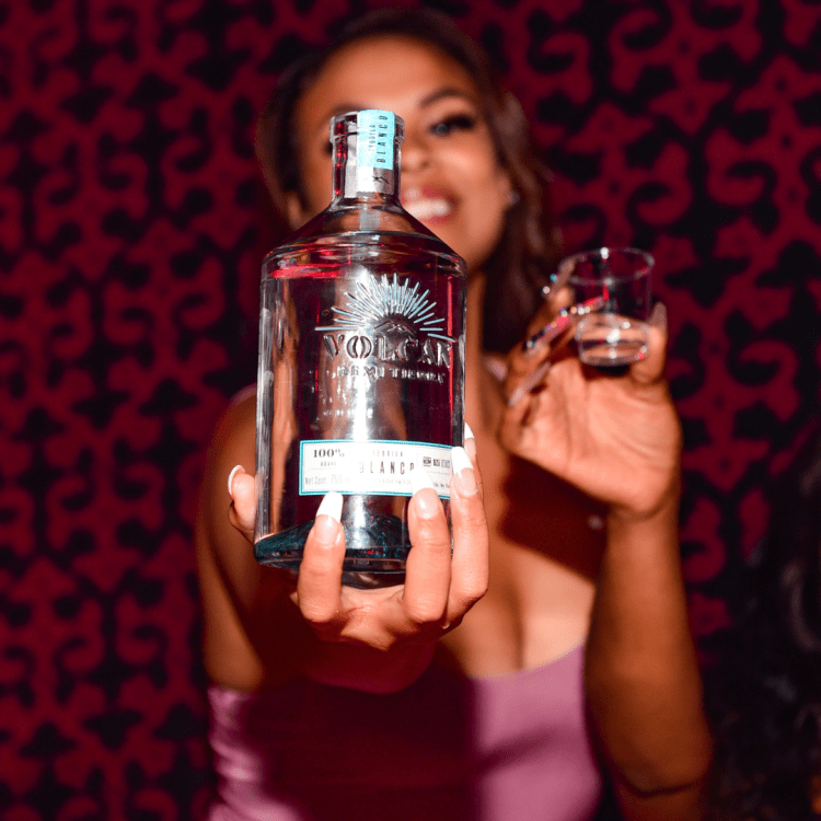 Josephine-Lounge-1-4